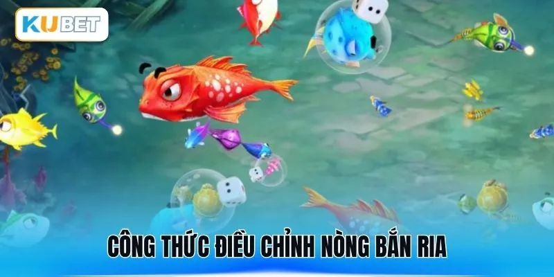 Công thức điều chỉnh nòng bắn ria