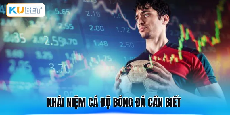 Khái niệm cá độ bóng đá cần biết